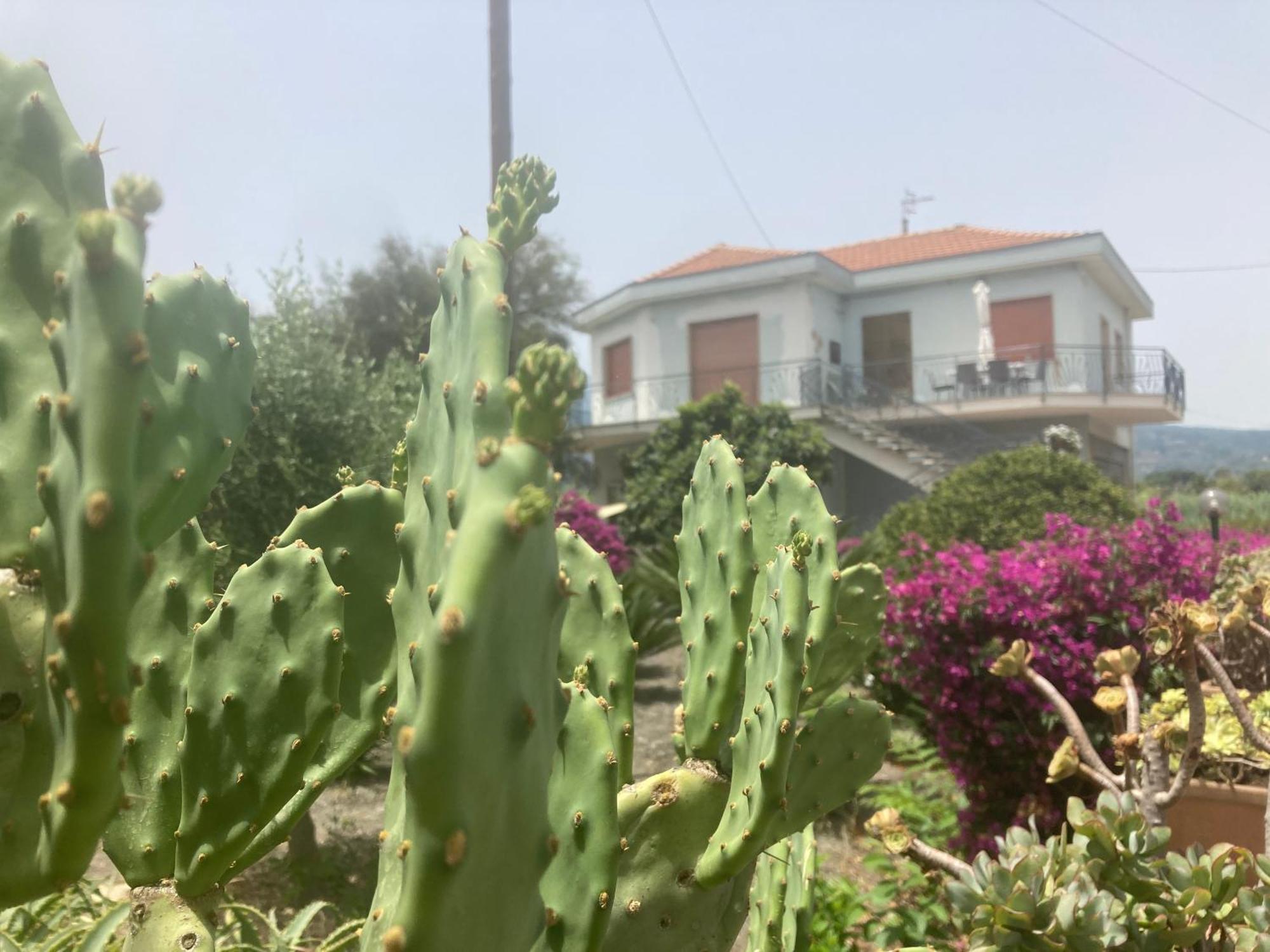 Villa Con Piscina Esclusiva Vista Etna Mascali Kültér fotó