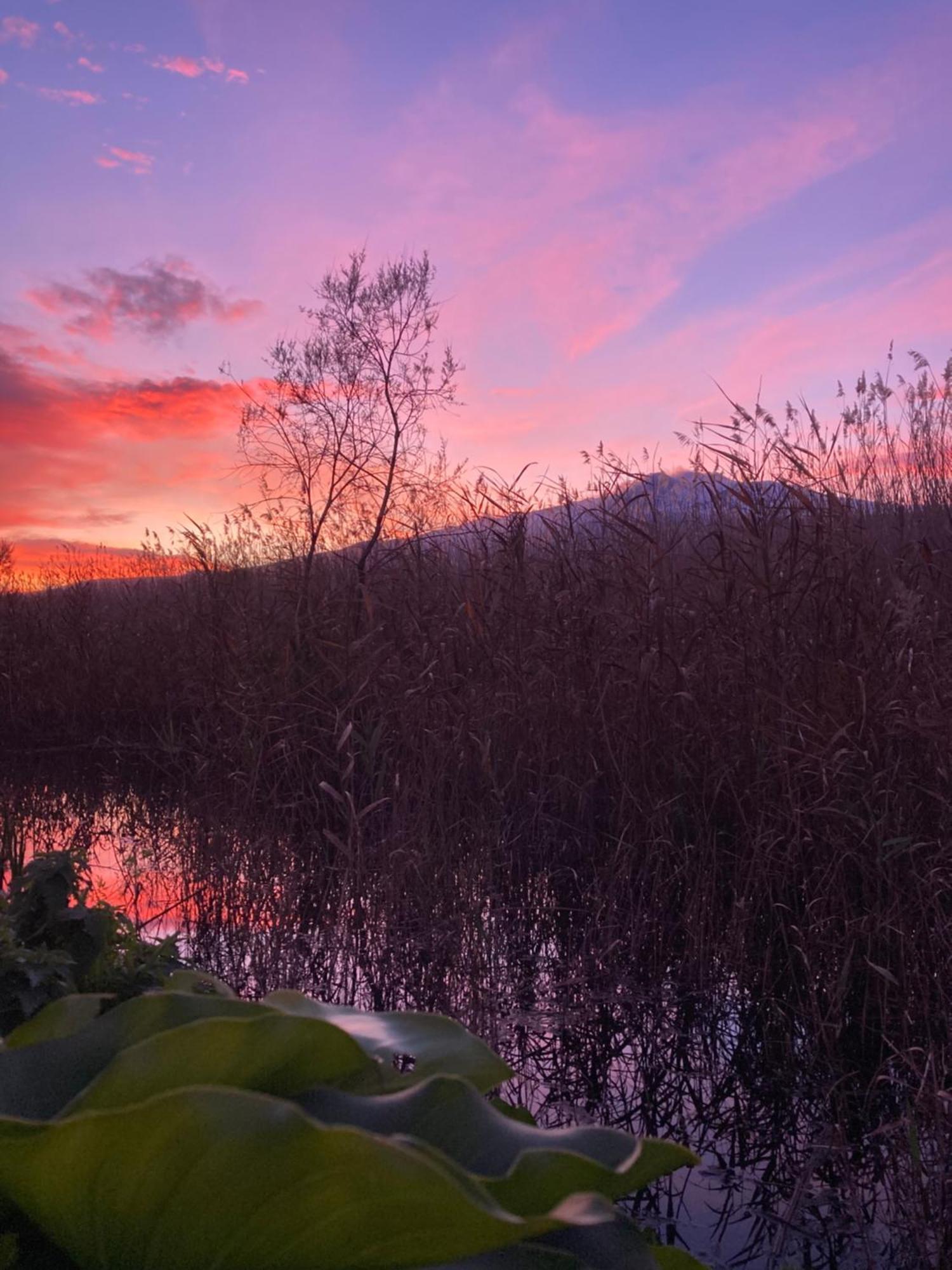 Villa Con Piscina Esclusiva Vista Etna Mascali Kültér fotó