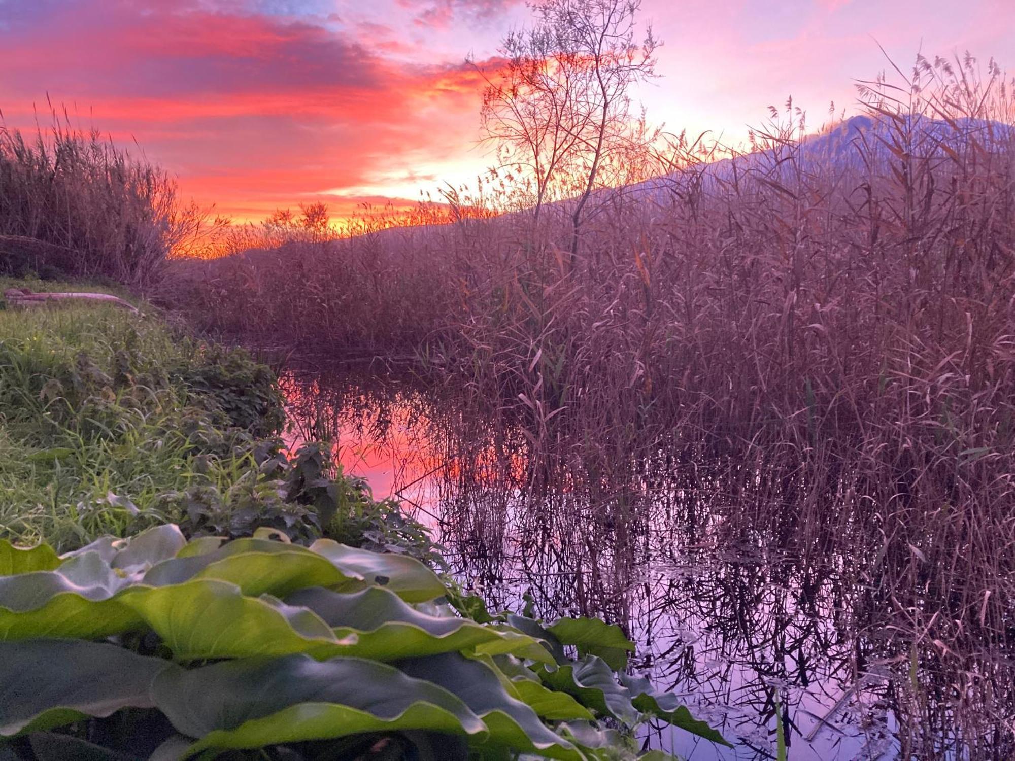 Villa Con Piscina Esclusiva Vista Etna Mascali Kültér fotó